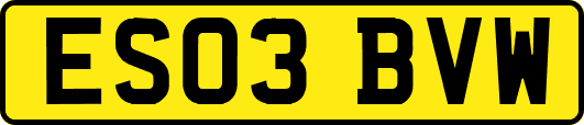 ES03BVW