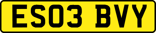 ES03BVY