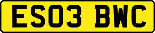 ES03BWC