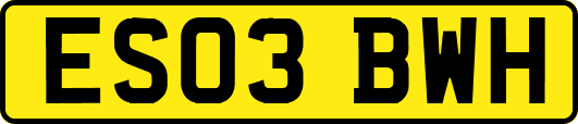 ES03BWH