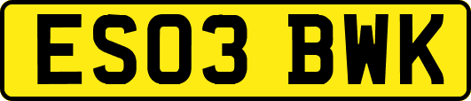 ES03BWK