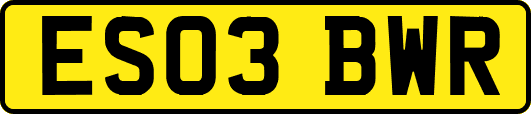 ES03BWR