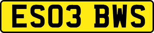 ES03BWS