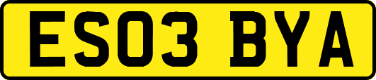 ES03BYA