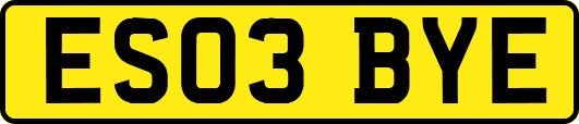 ES03BYE
