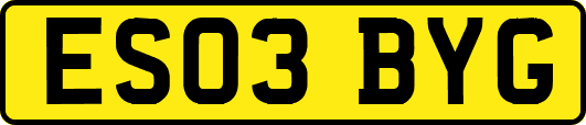 ES03BYG