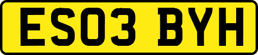 ES03BYH