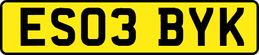 ES03BYK