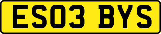 ES03BYS