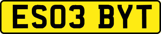 ES03BYT