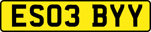 ES03BYY