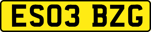 ES03BZG