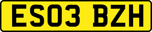 ES03BZH