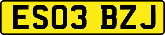 ES03BZJ