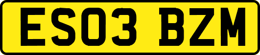 ES03BZM