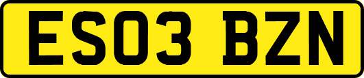 ES03BZN