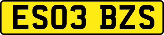 ES03BZS