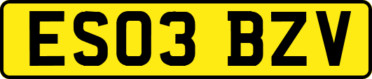 ES03BZV