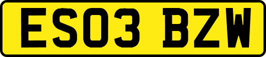 ES03BZW