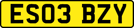 ES03BZY