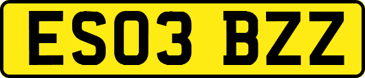 ES03BZZ