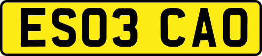 ES03CAO