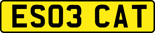 ES03CAT