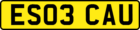 ES03CAU