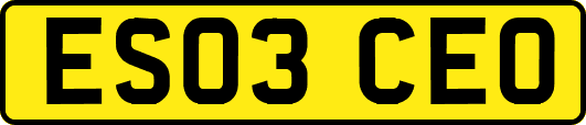 ES03CEO