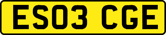 ES03CGE