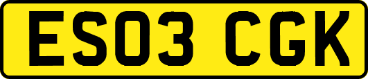 ES03CGK