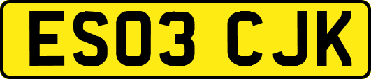 ES03CJK