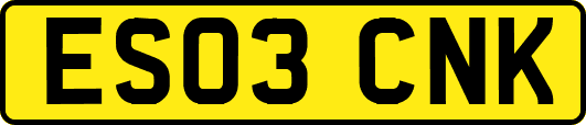 ES03CNK