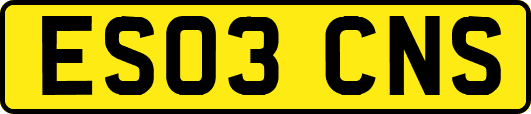 ES03CNS