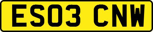 ES03CNW