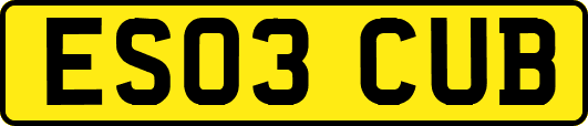 ES03CUB