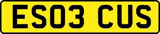 ES03CUS