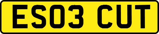 ES03CUT
