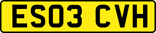 ES03CVH