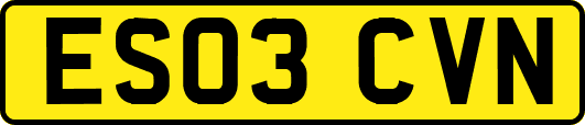 ES03CVN