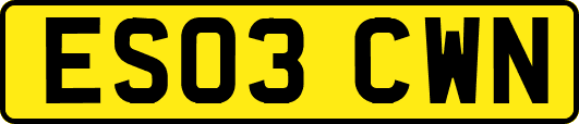 ES03CWN