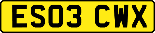 ES03CWX
