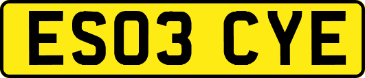 ES03CYE