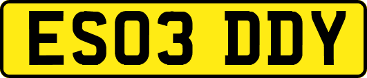 ES03DDY