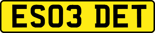 ES03DET