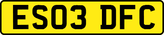 ES03DFC