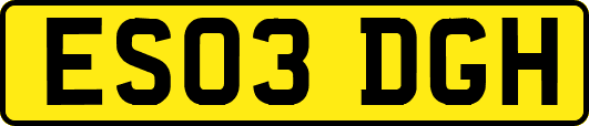 ES03DGH