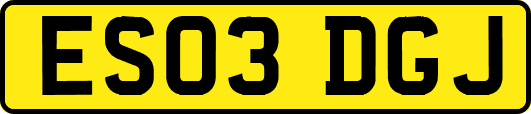 ES03DGJ