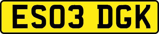 ES03DGK