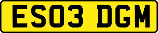 ES03DGM